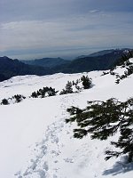 5 Battere traccia verso Bocchetta Regadur